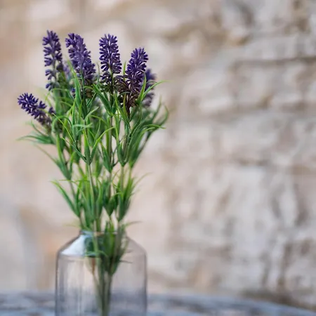 בית נופש Ivanka By Interhome *